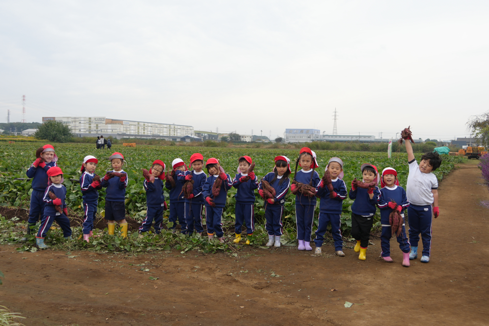 いも掘り遠足